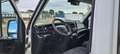 Iveco Daily 35S12 2.3 HPT PM Blanc - thumbnail 14