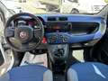 Fiat Panda 1.2 Easy Bianco - thumbnail 8