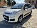 Fiat Panda 1.2 Easy Bianco - thumbnail 15
