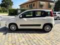 Fiat Panda 1.2 Easy Bianco - thumbnail 3