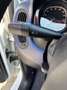 Fiat Panda 1.2 Easy Bianco - thumbnail 13