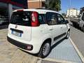 Fiat Panda 1.2 Easy Bianco - thumbnail 5