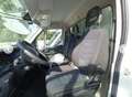 Iveco Daily 35C18 3.0hpi PASSO 4100 CENTINATO Blanc - thumbnail 7