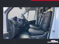 Toyota Proace Max 2.2-l-D 35 L3H2 Comfort Weiß - thumbnail 9