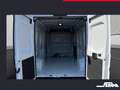 Toyota Proace Max 2.2-l-D 35 L3H2 Comfort Weiß - thumbnail 17