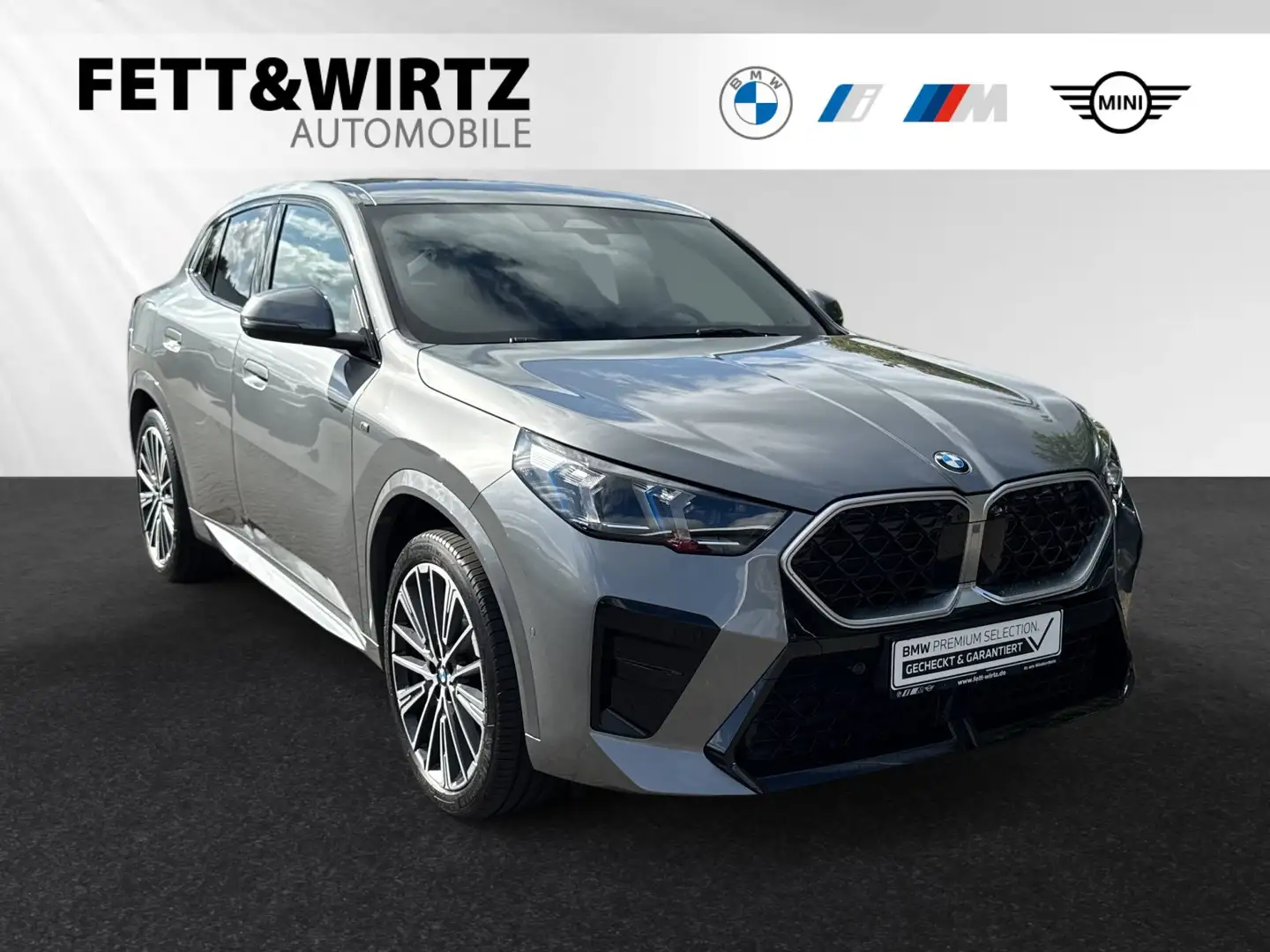 BMW X2 sDrive20i M Sport|AHK|Head-Up|20"LMR|H/K Grau - 1