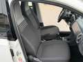 Volkswagen up! up! 5p 1.0 eco Move 68cv my20 km 40000 Bianco - thumbnail 11