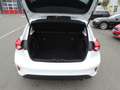 Ford Focus 1,5Tdci-Lim.*Navi+Android/Appel*Alu*PDC*ACC Weiß - thumbnail 24