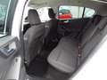 Ford Focus 1,5Tdci-Lim.*Navi+Android/Appel*Alu*PDC*ACC Weiß - thumbnail 22