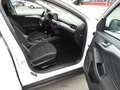 Ford Focus 1,5Tdci-Lim.*Navi+Android/Appel*Alu*PDC*ACC Weiß - thumbnail 20