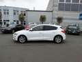 Ford Focus 1,5Tdci-Lim.*Navi+Android/Appel*Alu*PDC*ACC White - thumbnail 8