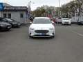 Ford Focus 1,5Tdci-Lim.*Navi+Android/Appel*Alu*PDC*ACC Weiß - thumbnail 5