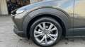 Mazda CX-30 2.0 Skyactiv-G Evolution 2WD 90kW Brun - thumbnail 10