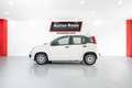 Fiat Panda Hybrid 1.0 Gse 51kw (70CV) Wit - thumbnail 2