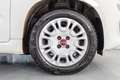Fiat Panda Hybrid 1.0 Gse 51kw (70CV) Wit - thumbnail 8