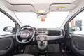 Fiat Panda Hybrid 1.0 Gse 51kw (70CV) Wit - thumbnail 5