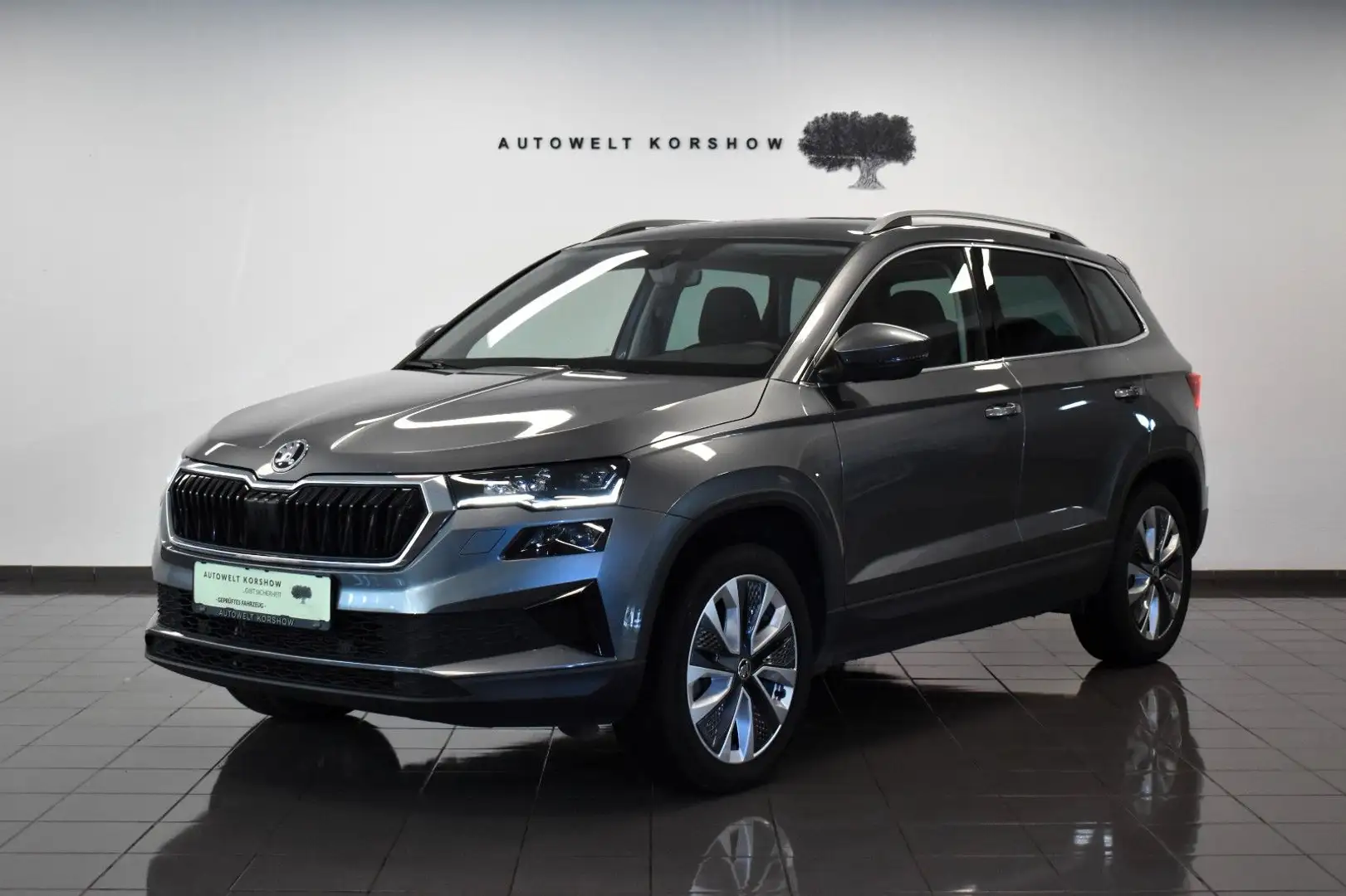 Skoda Karoq Style 4x4 *LED *KAMERA *KEYLESS *ACC *DAB Grau - 1
