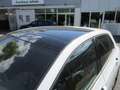 Volkswagen Golf R-Line 1.5 TSI NAVI PANO STANDH HEAP UP KAMERA ACC IQ LIG Weiß - thumbnail 9