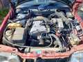 Mercedes-Benz CE 220 sportsline Rot - thumbnail 11
