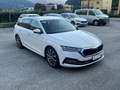 Skoda Octavia 2.0 TDI EVO SCR 150 CV Wagon Executive Bianco - thumbnail 2