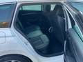 Skoda Octavia 2.0 TDI EVO SCR 150 CV Wagon Executive Bianco - thumbnail 15