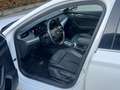 Skoda Octavia 2.0 TDI EVO SCR 150 CV Wagon Executive Bianco - thumbnail 12
