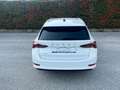 Skoda Octavia 2.0 TDI EVO SCR 150 CV Wagon Executive Bianco - thumbnail 5