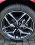 Kia Ceed SW / cee'd SW ceed SW 1,6 CRDi SCR ISG Gold 48V DCT Rot - thumbnail 7