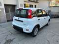 Fiat Panda 1.0 Hybrid 70cv Radio Bluetooth 36 Rate da 177,95 Wit - thumbnail 4
