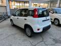 Fiat Panda 1.0 Hybrid 70cv Radio Bluetooth 36 Rate da 177,95 Blanco - thumbnail 6