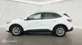 Ford Kuga 1.5 EcoBlue 120ch Titanium - thumbnail 8