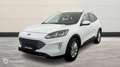 Ford Kuga 1.5 EcoBlue 120ch Titanium - thumbnail 1