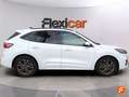 Ford Kuga 1.5 EcoBlue ST-Line FWD 120 Blanco - thumbnail 9