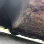 Autres Mini Cooper 1300 Rouge - thumbnail 45