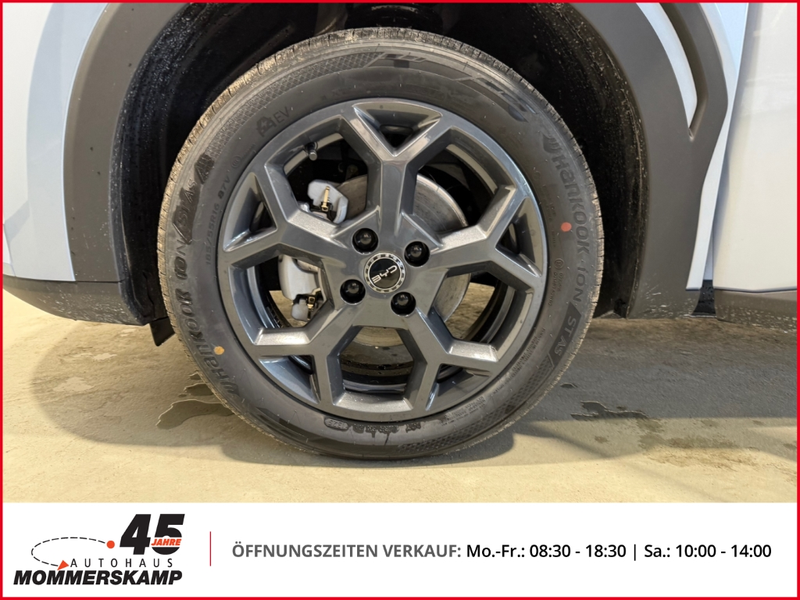 BYD Dolphin 115 kW Comfort+360 Kamera+SitzHZG+Keyless+Lederlen — photo 18