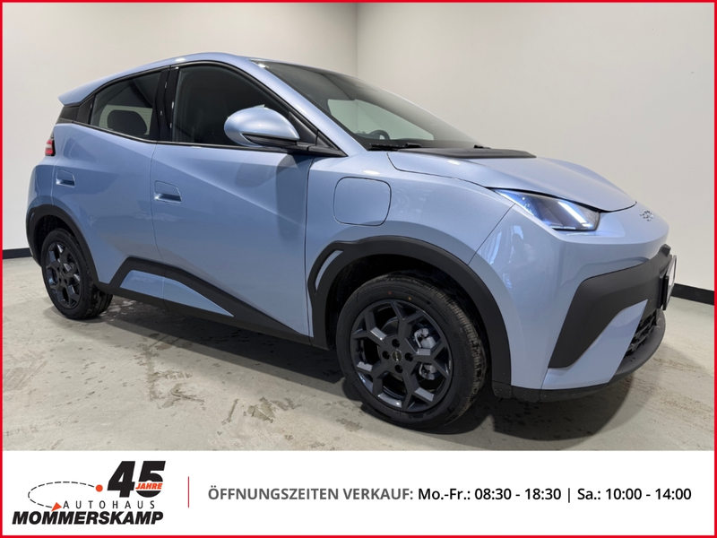 BYD Dolphin 115 kW Comfort+360 Kamera+SitzHZG+Keyless+Lederlen — photo 3