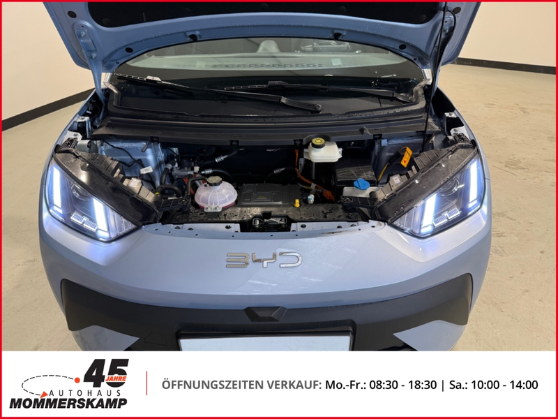 BYD Dolphin 115 kW Comfort+360 Kamera+SitzHZG+Keyless+Lederlen — photo 16
