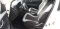 Nissan Pulsar Pulsar 1.5 dci Acenta 110cv Bianco - thumbnail 8