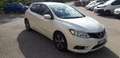 Nissan Pulsar Pulsar 1.5 dci Acenta 110cv Bianco - thumbnail 5