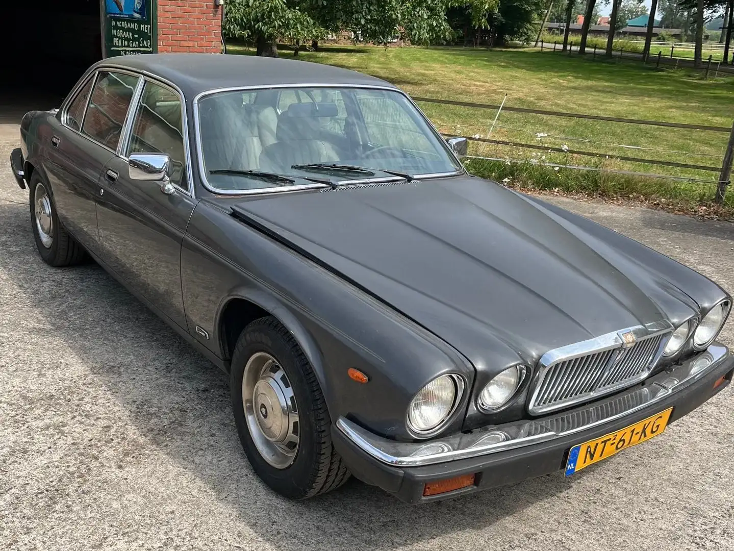 Jaguar XJ6 XJ6 Vert - 1