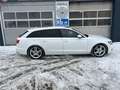 Audi A6 3.0 TDI quattro S-line**Gepflegt**Top Austattung** Weiß - thumbnail 5