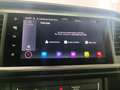 SEAT Ateca 1.5 EcoTSI S&S Style Evo Edition DSG Gris - thumbnail 20