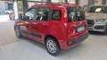 Fiat Panda 1.3 MJT 95 CV S&S Lounge Rosso - thumbnail 11