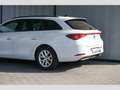 SEAT Leon Sportstourer 1.0 eTSI DSG Style FullLink AHK Weiß - thumbnail 5
