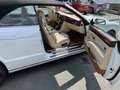 Bentley Azure Cabrio KLASSIKER Service NEU! 1 von 716 weltweit! Blanco - thumbnail 22