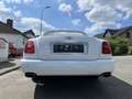 Bentley Azure Cabrio KLASSIKER Service NEU! 1 von 716 weltweit! Blanco - thumbnail 20