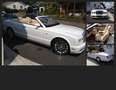 Bentley Azure Cabrio KLASSIKER Service NEU! 1 von 716 weltweit! Weiß - thumbnail 6