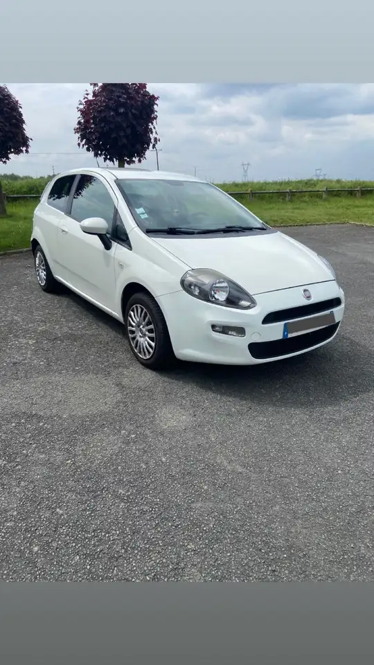 Fiat Punto Easy