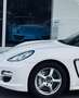 Porsche Panamera 4S PDK/Pano/Standhzg/Topzustand Weiß - thumbnail 21