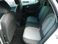 SEAT Leon Style Leon Road Edition 1.5 eTSI DSG SItzheiz/Kess Weiß - thumbnail 13